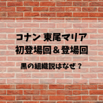 コナン 東尾マリアの初登場と登場回｜ラムや黒幕説がある理由とは？？
