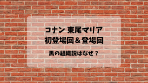 コナン 東尾マリアの初登場と登場回|ラムや黒幕説がある理由とは??