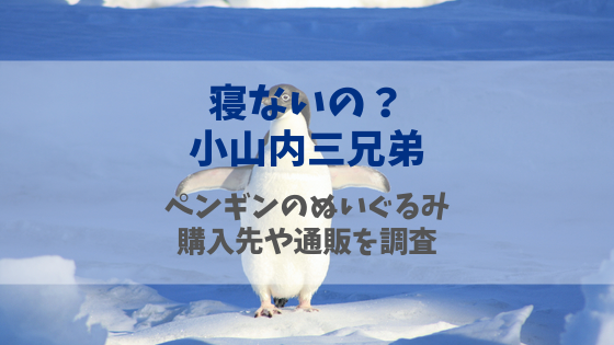 寝ないの小山内三兄弟 ペンギンのぬいぐるみ 友ちゃん の購入先をチェック