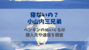 寝ないの小山内三兄弟 ペンギンのぬいぐるみ(友ちゃん)の購入先をチェック